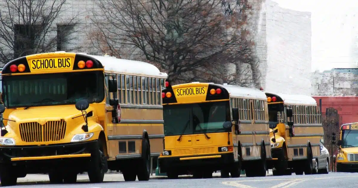 school-buses